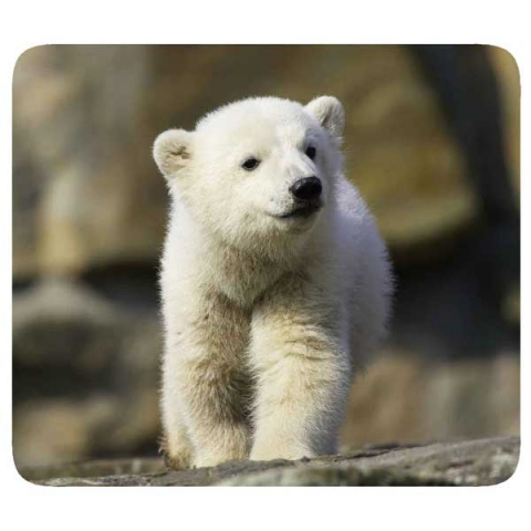 VIVANCO MOUSEPAD PETS 4